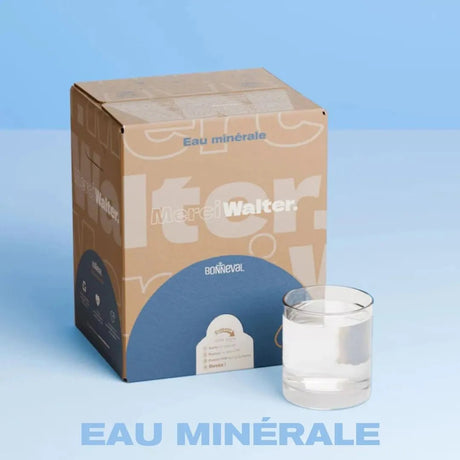 Eau Minérale Naturelle 10L | Merci Walter