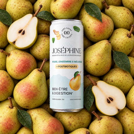 Eau Pétillante Poire, Gingembre & Mélisse + Postbiotiques | Merci Walter