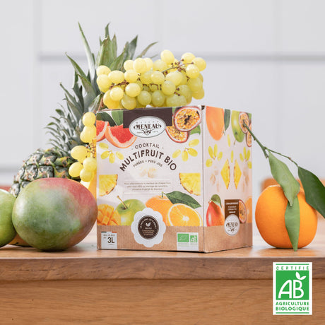 Jus multi-fruits BIO 3 litres | Merci Walter